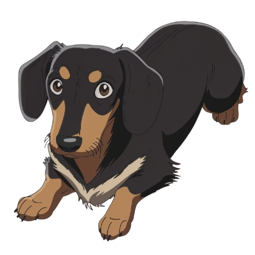 Dachshund